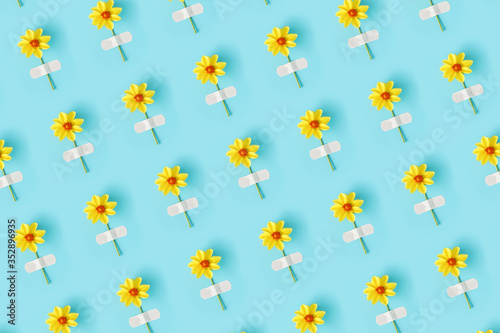 Flower pattern. Fresh natural yellow flower glued with adhesive plaster on a blue background. Concept medicine, health and naturopathy. Top view Creative Flat lay