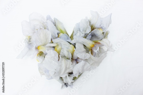 Heart made of white fresh flowers isolated. Heart symbol made of 
iris flowers isolated on white background. Love concept for Valentine's and Mother's Day.  Floral Heart Shape. 