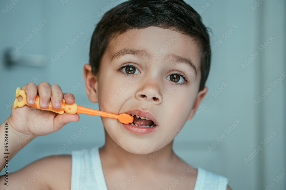 cute little boy looking at camera while brushing teeth in bathroom cute little boy looking at camera while brushing teeth in bathroom