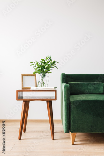 green sofa near wooden coffee table with plant, books and photo frame