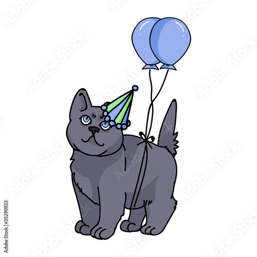 Cute cartoon British shorthair kitten with party hat vector clipart. Pedigree kitty breed for cat lovers. Celebration cat for pet parlor illustration mascot. Isolated feline housecat. EPS 10.