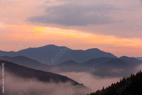 雲海