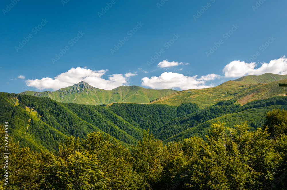 Fototapeta premium Mountain scenery in a warm sunny summer day. Stara planina, Bulgaria