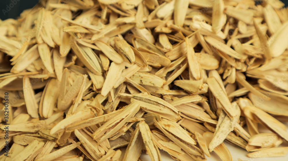 Empty shells of sunflower seeds trash closeup background Empty shells of sunflower seeds trash closeup background
