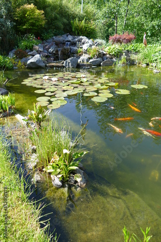Teich mit Wasserfall und Fischen