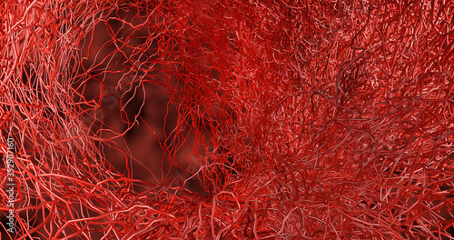 System many small capillaries branch out of the large blood vessels into the circulatory system for the transportation of blood to different parts In the body.  disease hemorrhagic stroke. 3D render. photo