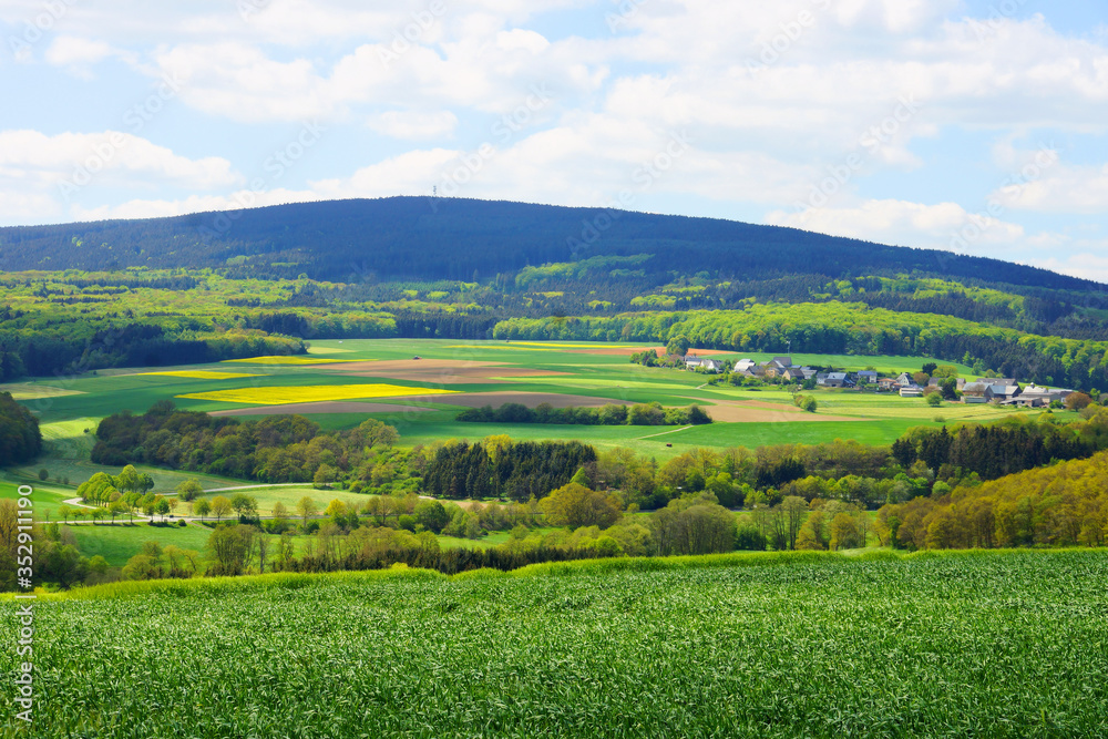 Idarwald im östlichen Hunsrück im Frühling
