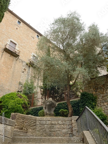 Stone steps next to tree in Girona, Spain © monysasi