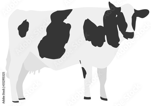 牛のイラスト素材