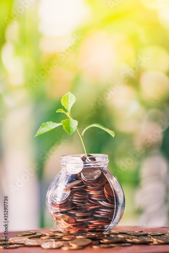 investment concept