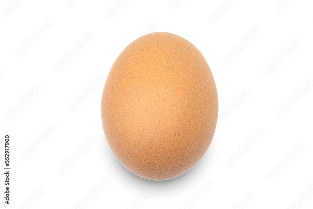 One egg is placed on a white background.
One egg is placed on a white background.