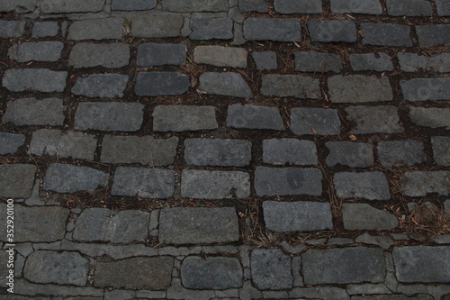 Obraz na płótnie cobble stone street w salonie