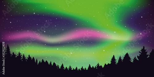 aurora borealis beautiful polar lights in stary sky in forest vector illustration EPS10