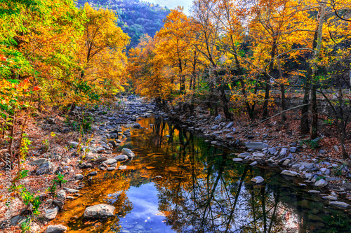 Beautiful autumn landscape, Chepelarska river, Bulgaria