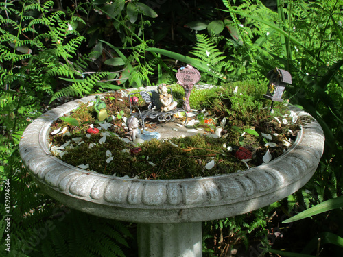 Fairy Garden DIY
