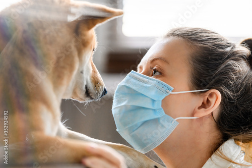 A girl in a medical mask and a dog of the Shiba Inu breed look yey to yey.  In difficult times of the necessary self-isolation during a pandemic, the only close friend for real communication for a man photo