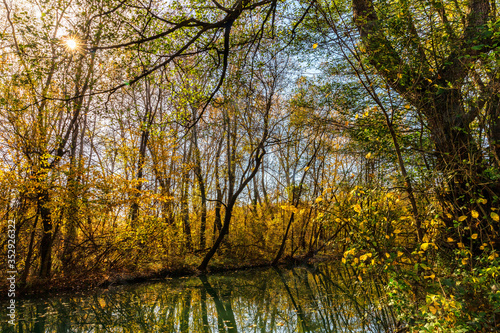 Beautiful autumn landscape  Belyanska river  Bulgaria