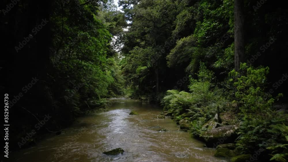 Aerial Pushing Past Small Rapids Down a River Through a Jungle in New Zealand Aerial Pushing Past Small Rapids Down a River Through a Jungle in New Zealand