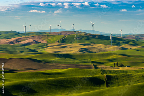 Foto Wind Farm Turbines among wheat fields on the Palouse in Washington State