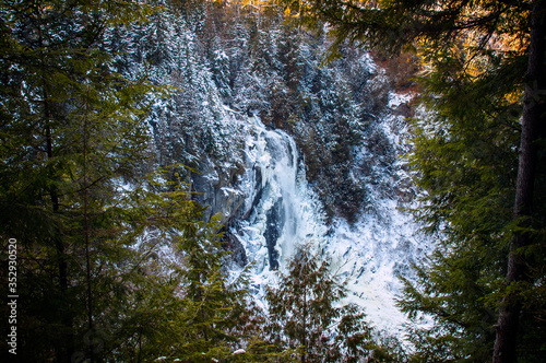 Winter Forest Upstate New York