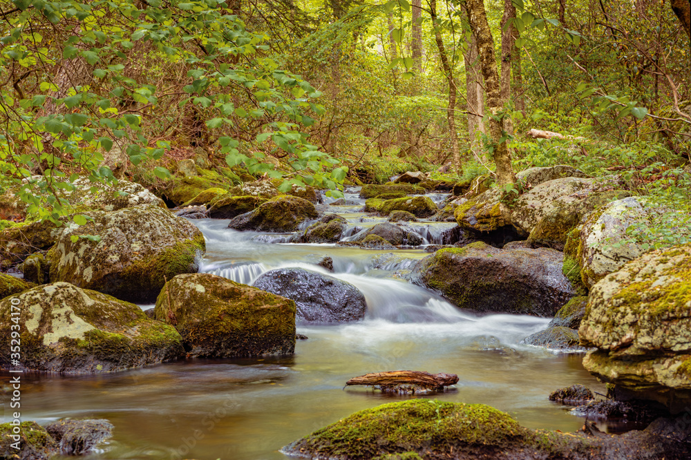 A photograph of a stream cascading through rocks in the middle of the forest shot with a slow shutter speed and a low angle.