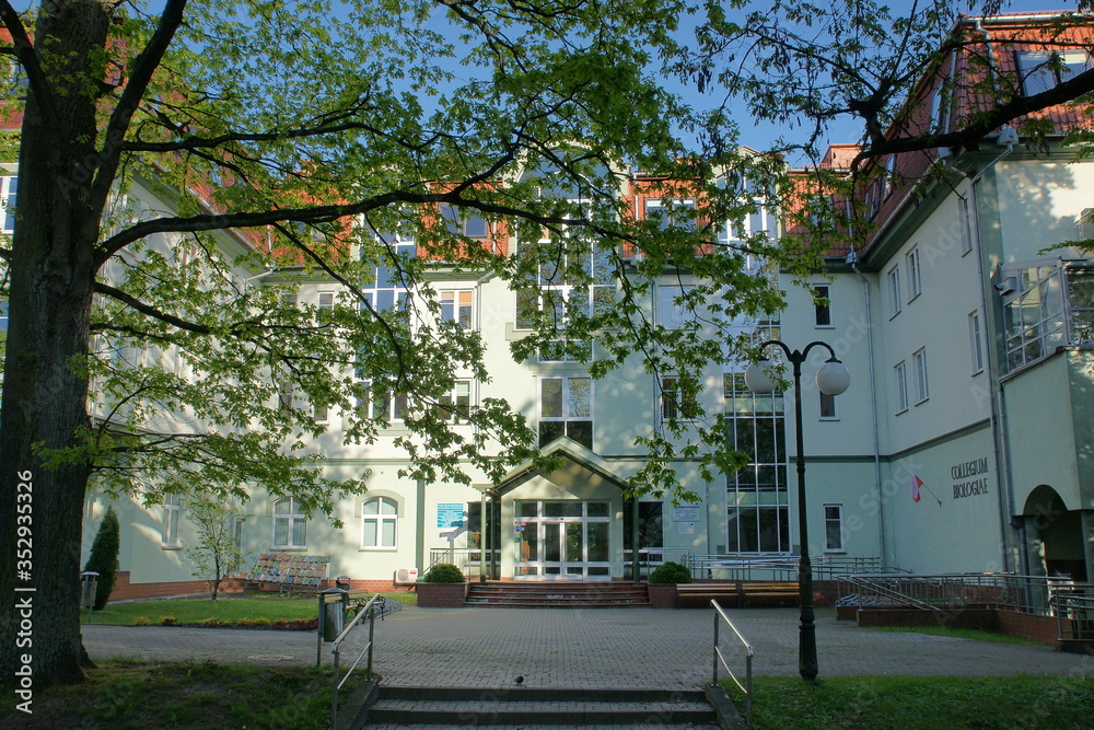 Obraz premium Kortowo