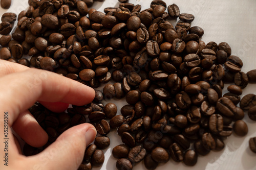 take coffee beans by hand morning in hand close up