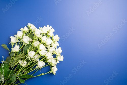 Beautiful white roses and buds on pastel blue background with space for text. Top view, flat lay. photo