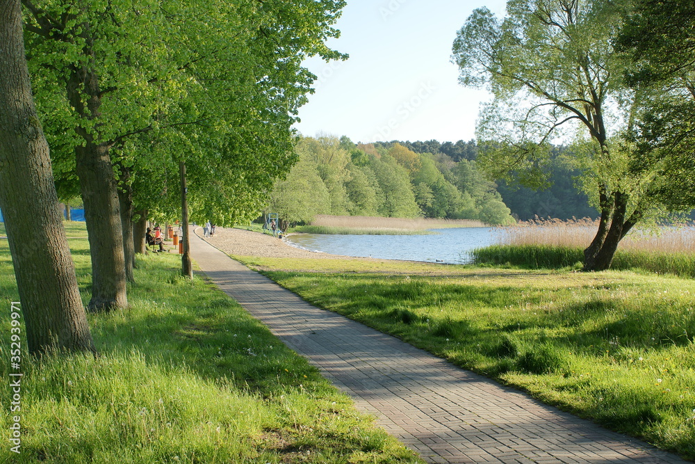 Fototapeta premium Plaża kortowska