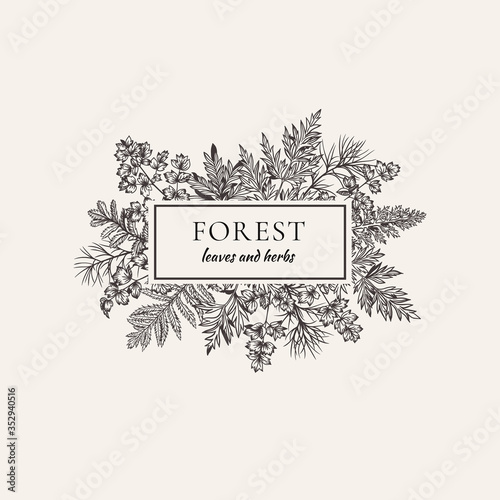 Vintage card with rectangle frame. Vector botanical illustration. Banner with leaves and herbs. Black and white.