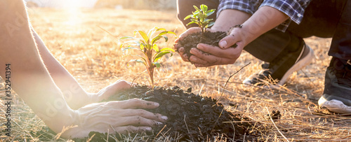 Hand of people helping plant the seedlings tree to preserve natural environment while working save world together, Earth day and Forest conservation concept photo