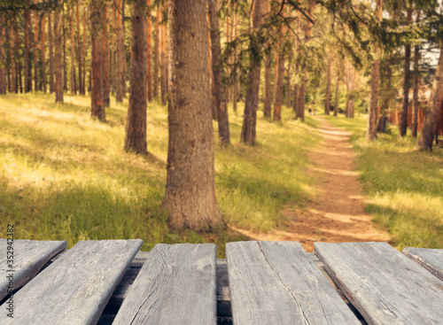empty wooden table on the blur background of forest 