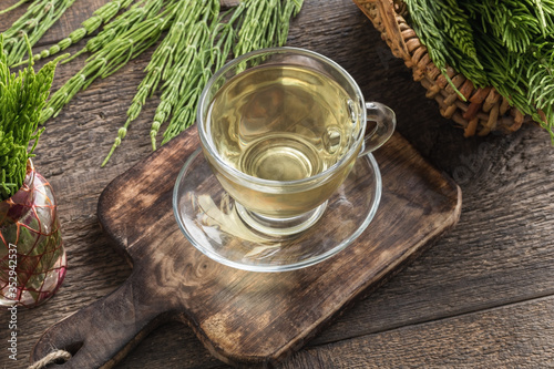 A cup of horsetail tea with fresh horsetail