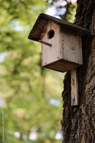 bird house on a tree green brown 