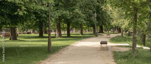 A path with benches outdoors in a park