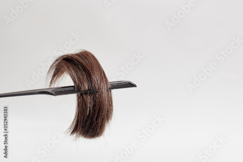 cut off brown hair in a black comb on a light gray background. hair stuck in a comb on a white background