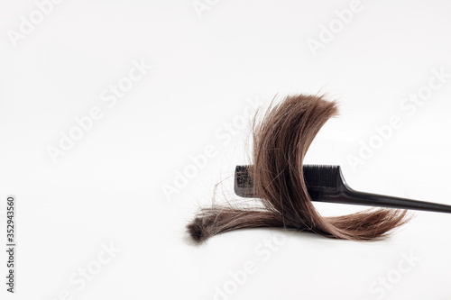 a lock of brown hair lies on a light white background along with a comb. a black comb catches a lock of hair belonging to a brunette on a white background