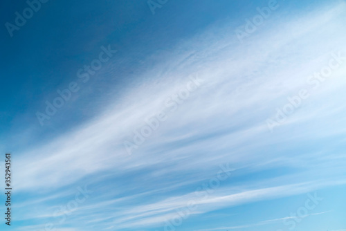 Long feathery clouds in the blue sky .