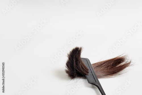 the place where a lock of hair is cut close-up in a comb on a light gray background. a clump of brown hair in the teeth of a comb on a white background