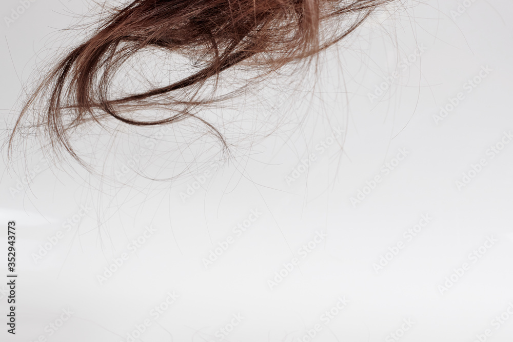 a tuft of brown hair tangled at the top on a light white background. texture or background for a hair salon
