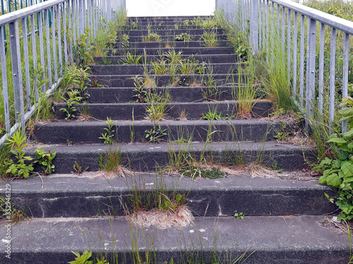 Stare schody obrośnięte trawą.