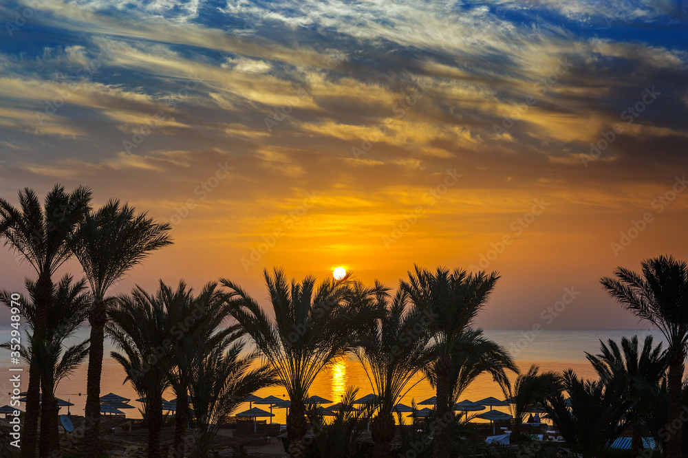 palms and sea on resort before sunrise