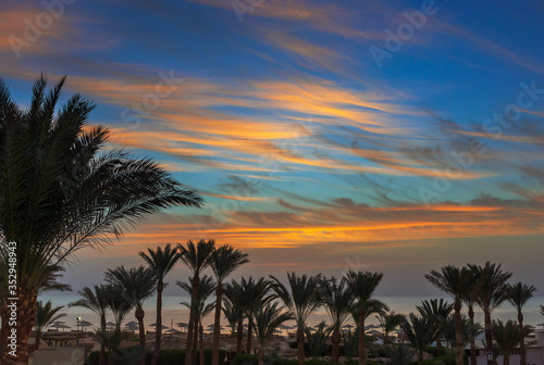 palms and sea on resort before sunrise © Kokhanchikov