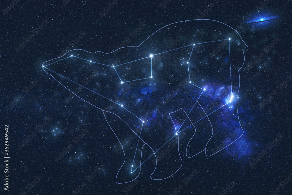 Ursa major Constellation stars in outer space with shape of a bear in lines. Elements of this image were furnished by NASA