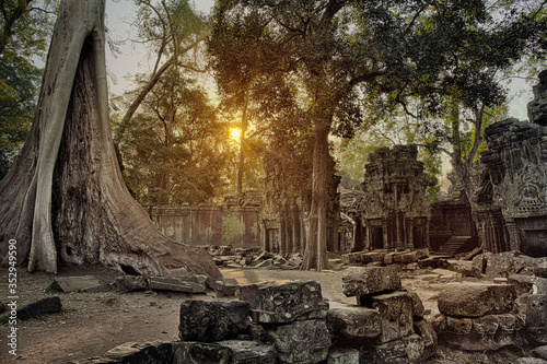 Ta Prohm temple in Angkor Wat Cambodia photo