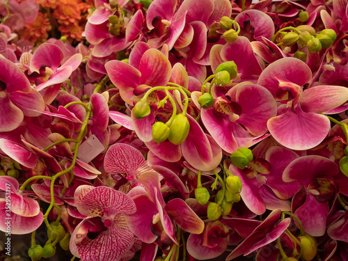 Beautiful pink meadow flowers close-up. Colorful buds, big pink bouquet