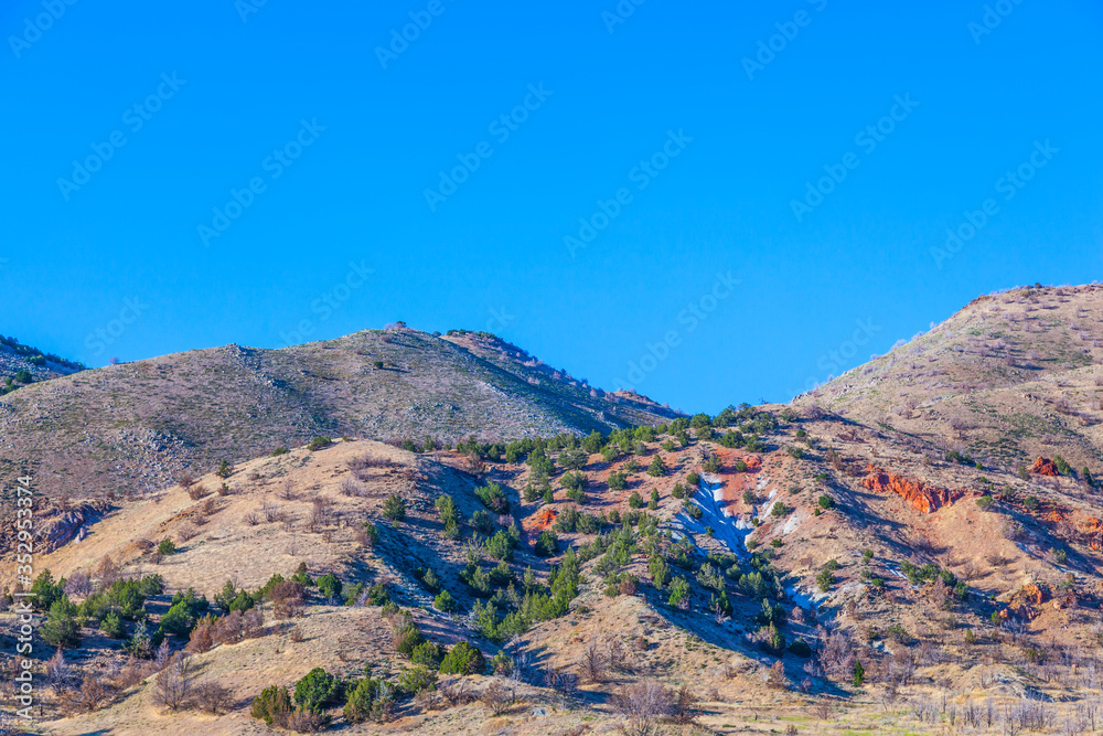 hill landscape in Arizona with trees and eroded area,