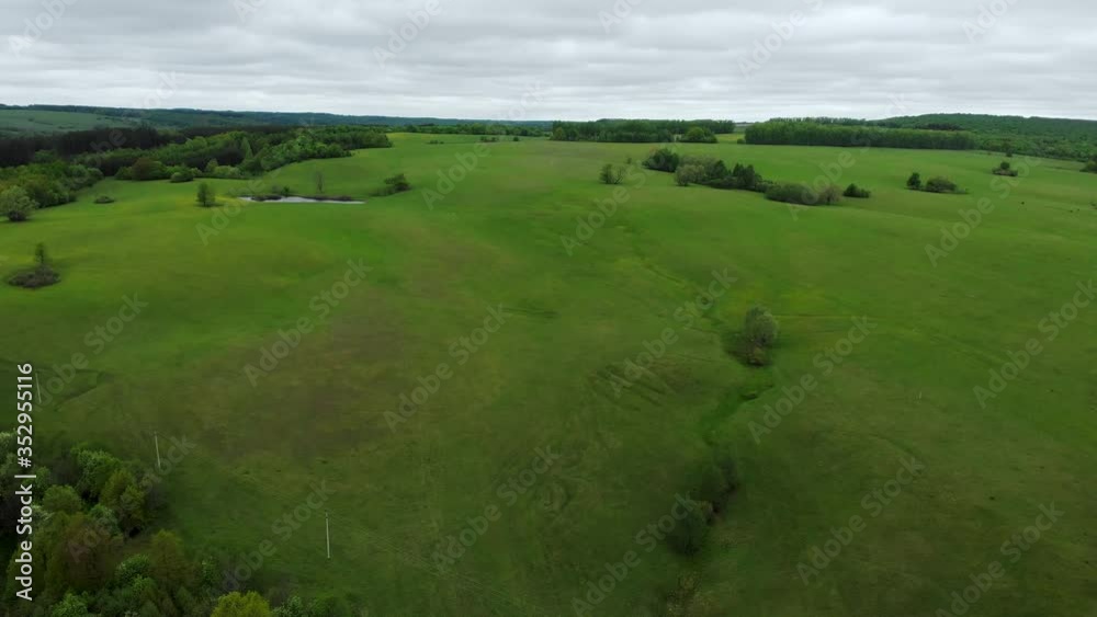 Green summer field with a forest view from the quadcopter. Beautiful landscape Green summer field with a forest view from the quadcopter. Beautiful landscape