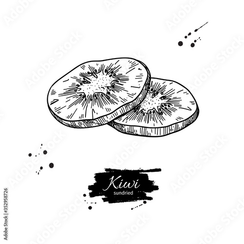 Dried kiwi chips vector drawing. Hand drawn dehydrated fruit ring illustration.