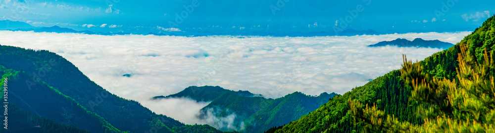 Kyoto/Oeyama Morning   mist and sea of clouds from a ridge to the shadow of fresh green, Japan